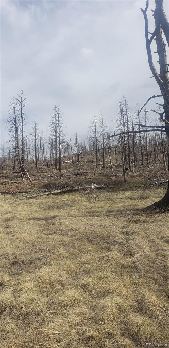 Lot 321 Hagin Lane Fort Garland CO 81133