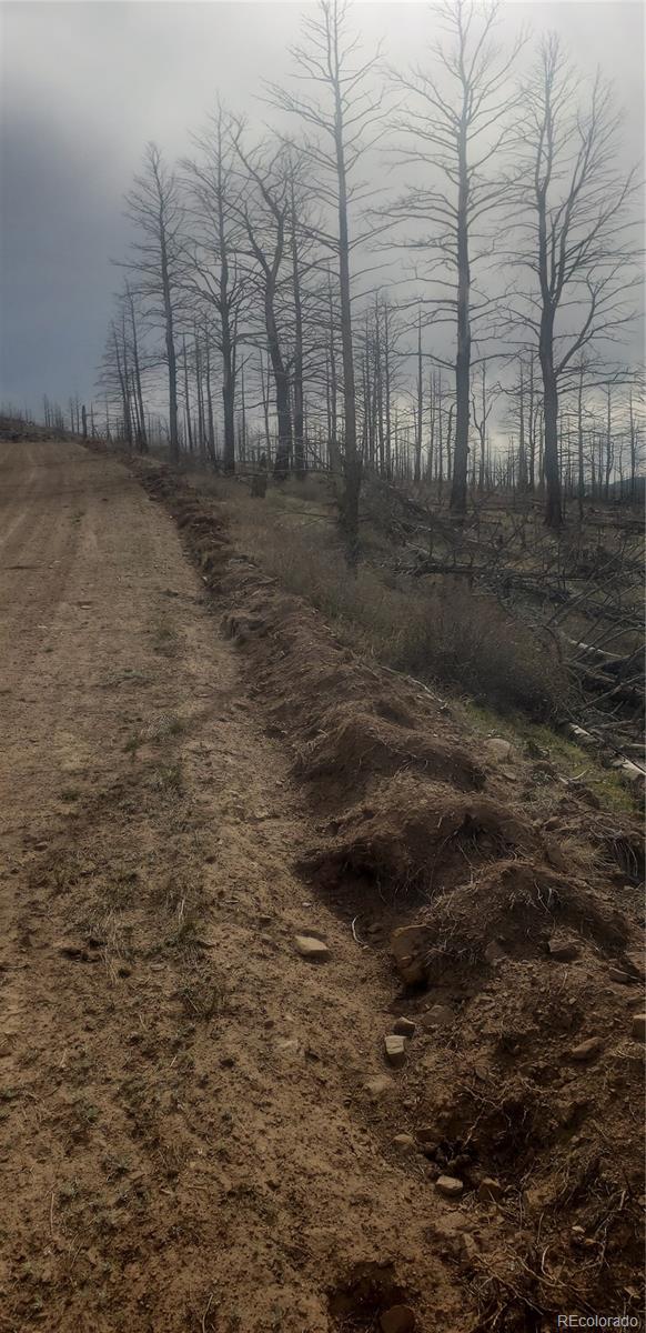 Lot 321 Hagin Lane Fort Garland CO 81133
