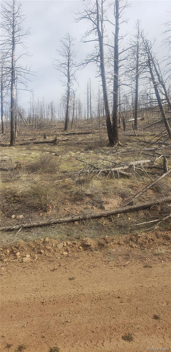 Lot 321 Hagin Lane Fort Garland CO 81133