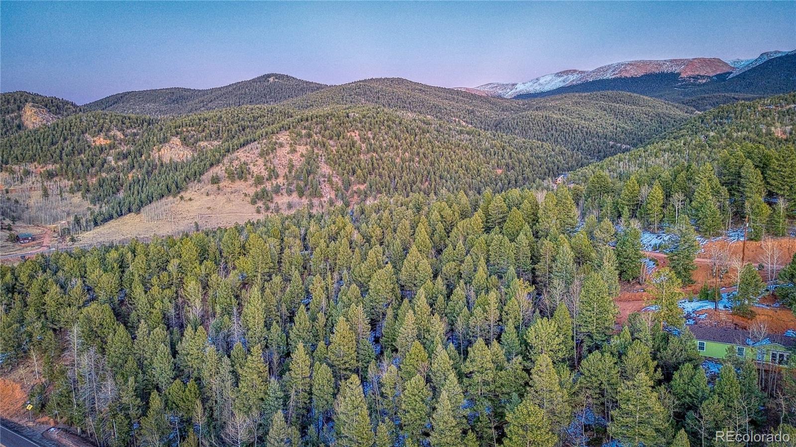 959 Calcite Drive Divide CO 80814
