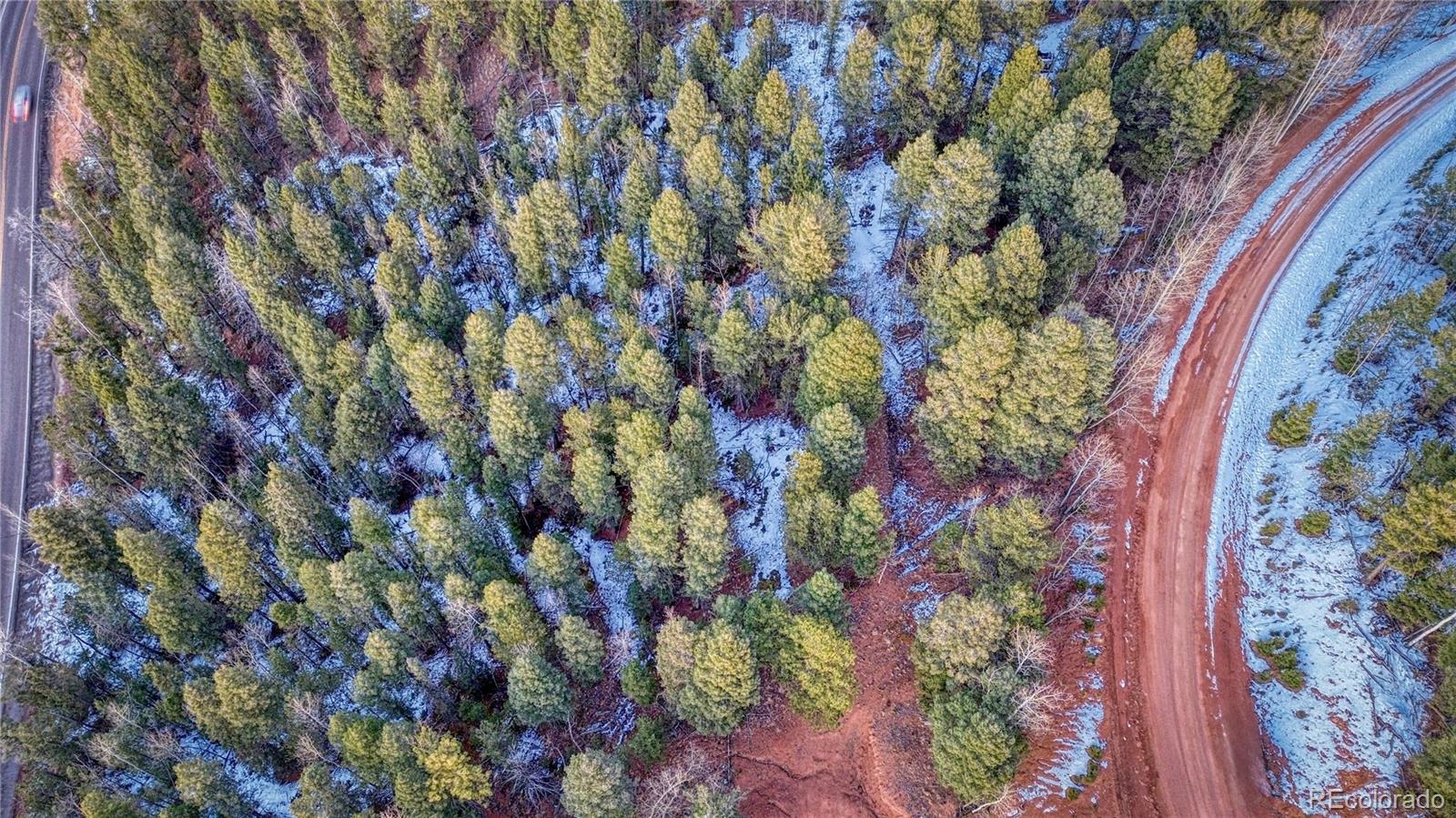 959 Calcite Drive Divide CO 80814