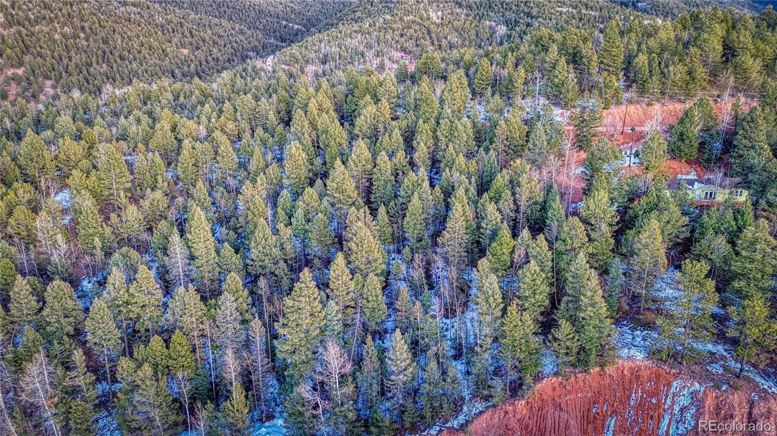 959 Calcite Drive Divide CO 80814