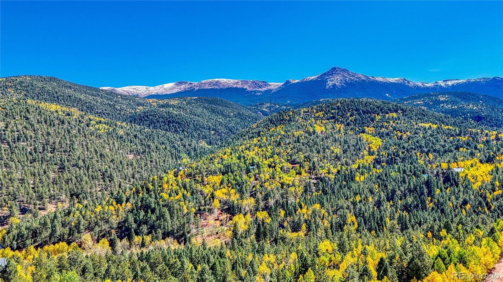 959 Calcite Drive Divide CO 80814