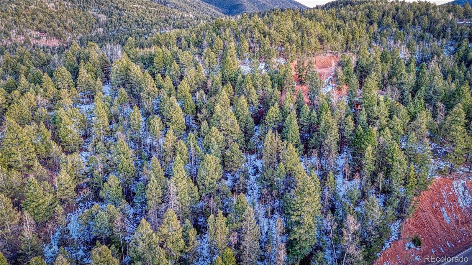 959 Calcite Drive Divide CO 80814