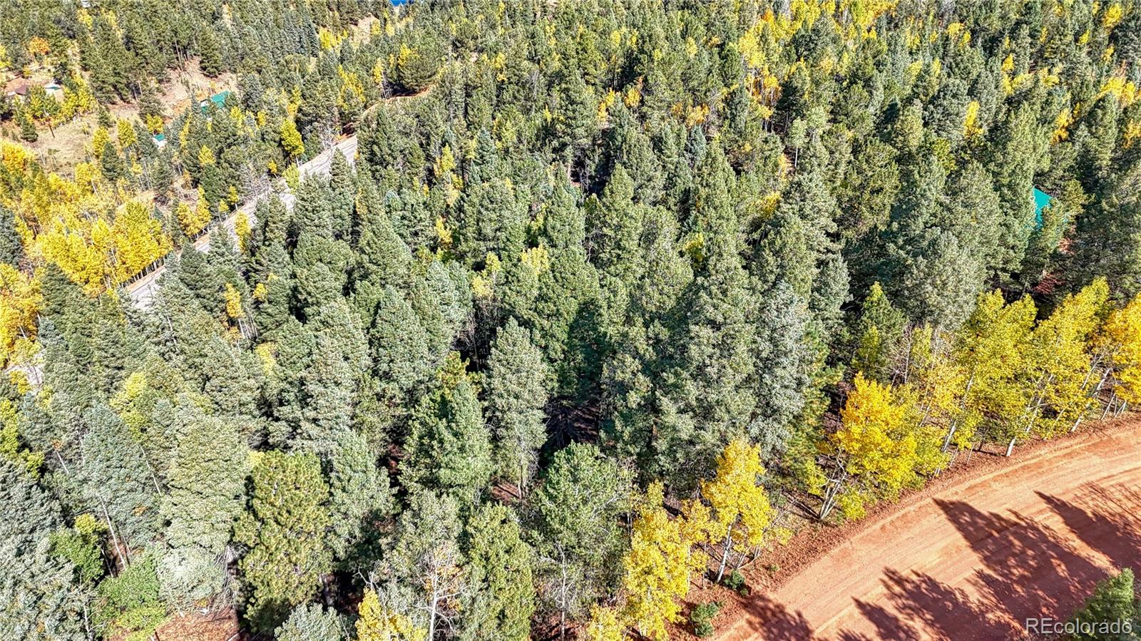 959 Calcite Drive Divide CO 80814