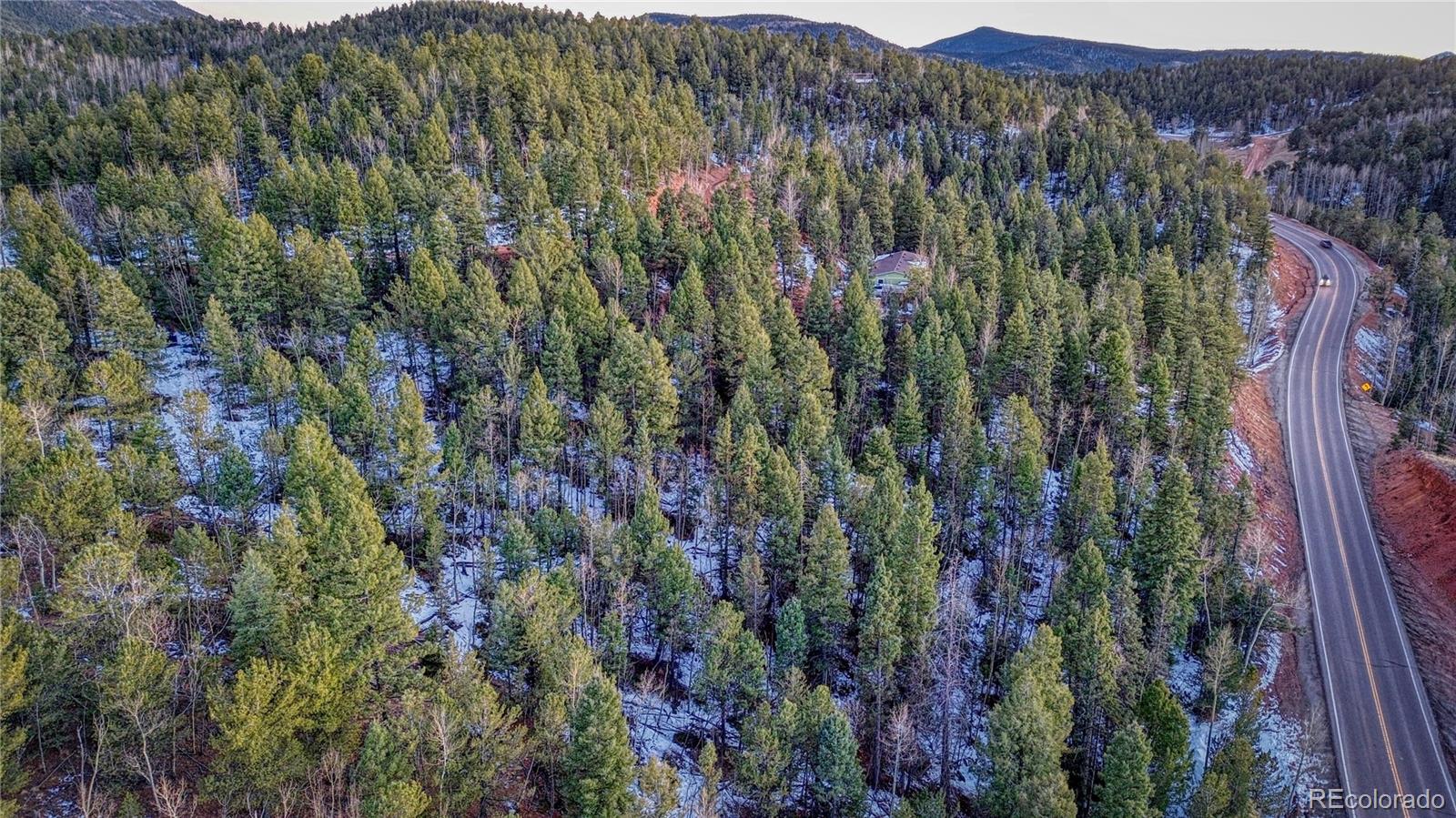 959 Calcite Drive Divide CO 80814