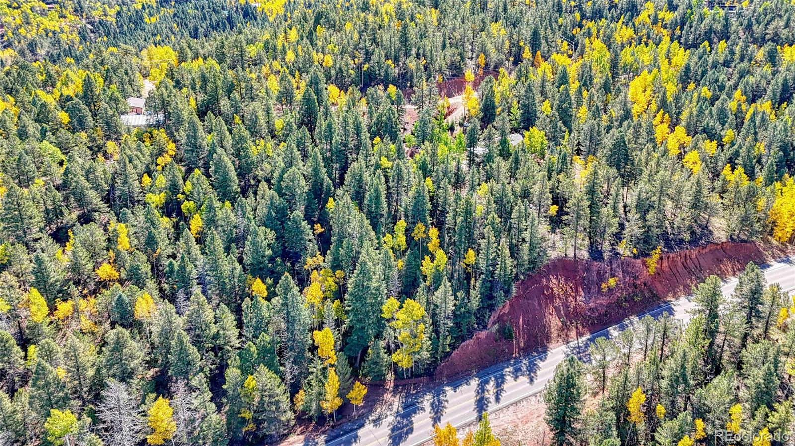 959 Calcite Drive Divide CO 80814