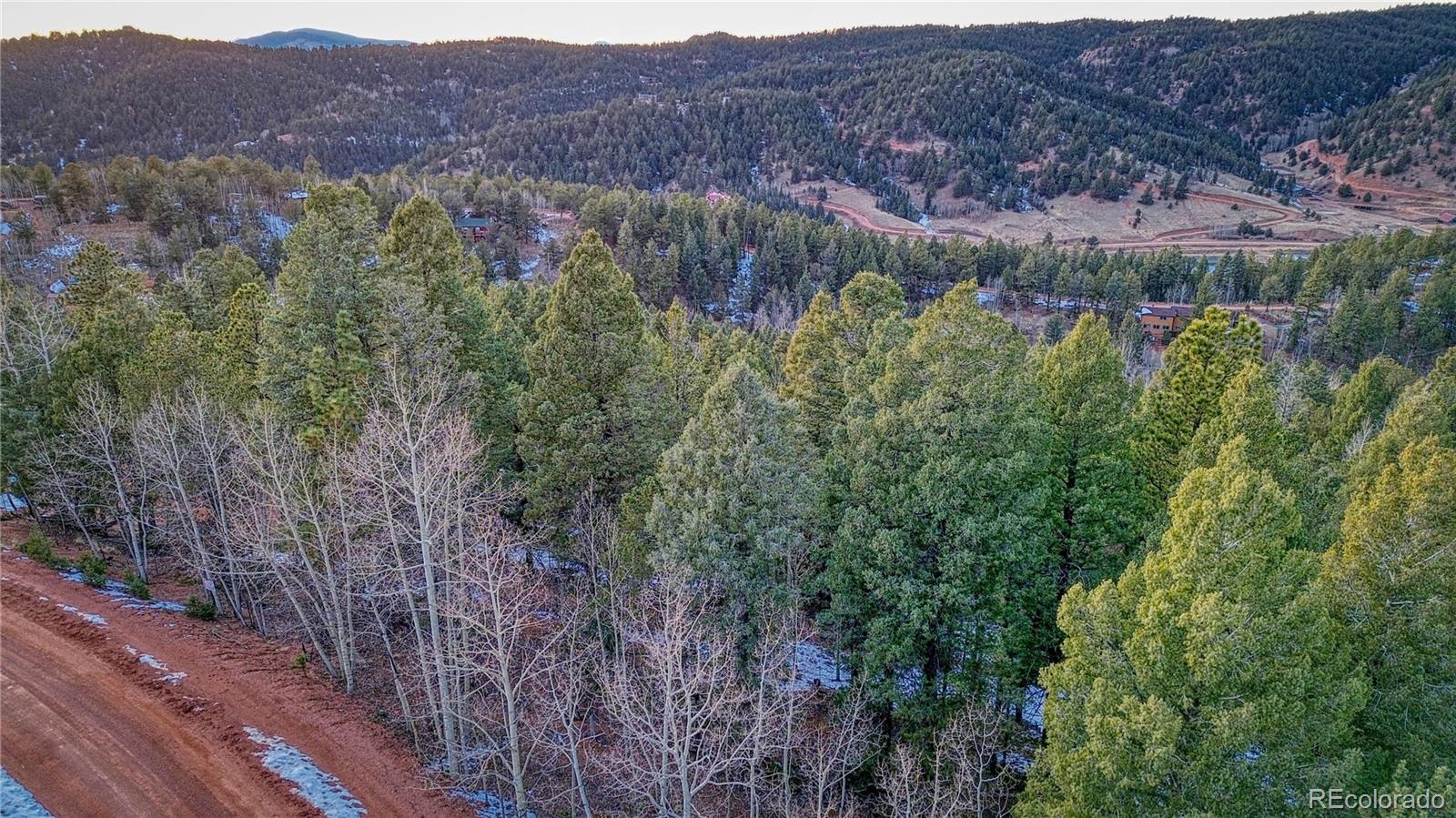 959 Calcite Drive Divide CO 80814