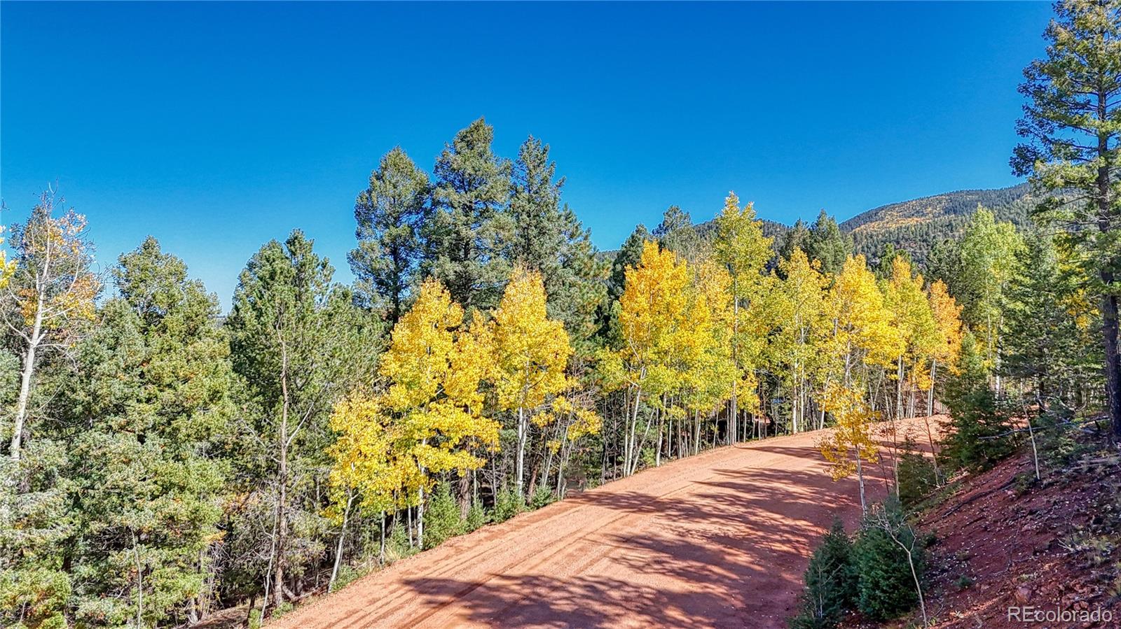 959 Calcite Drive Divide CO 80814