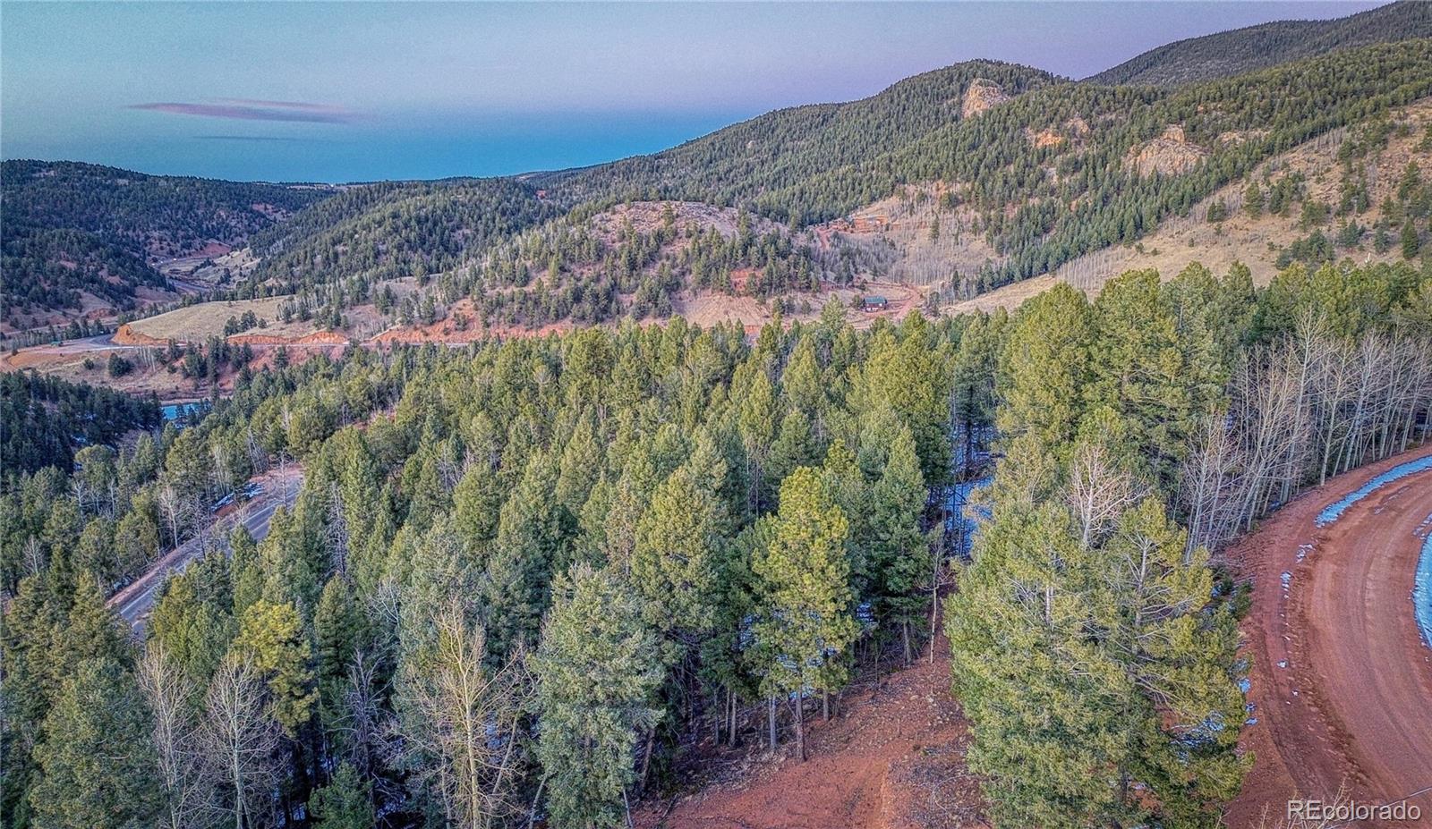 959 Calcite Drive Divide CO 80814