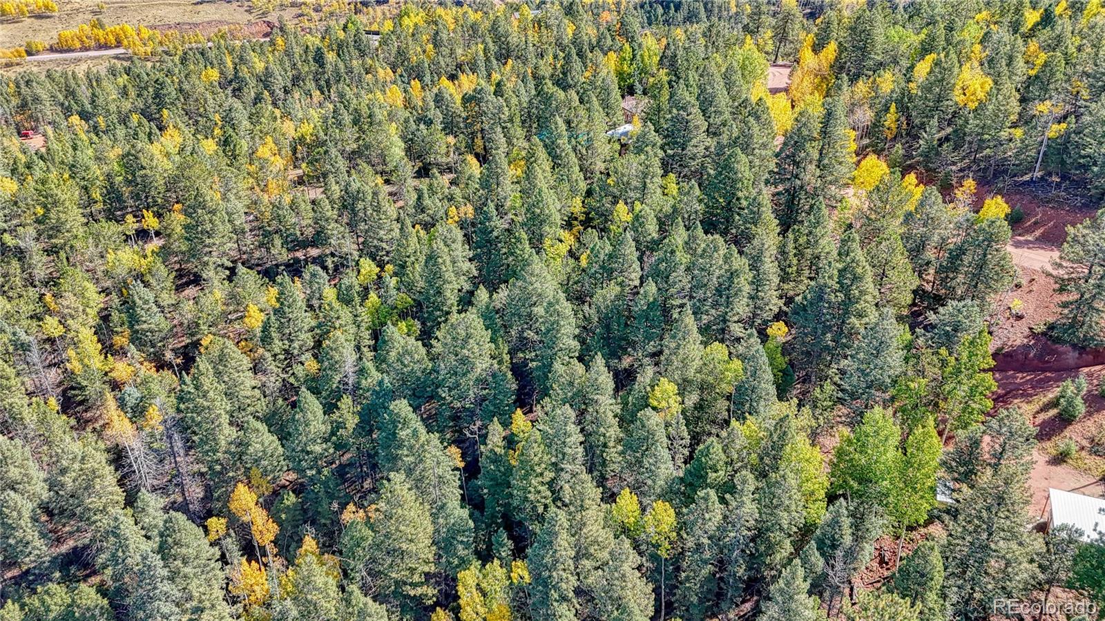 959 Calcite Drive Divide CO 80814
