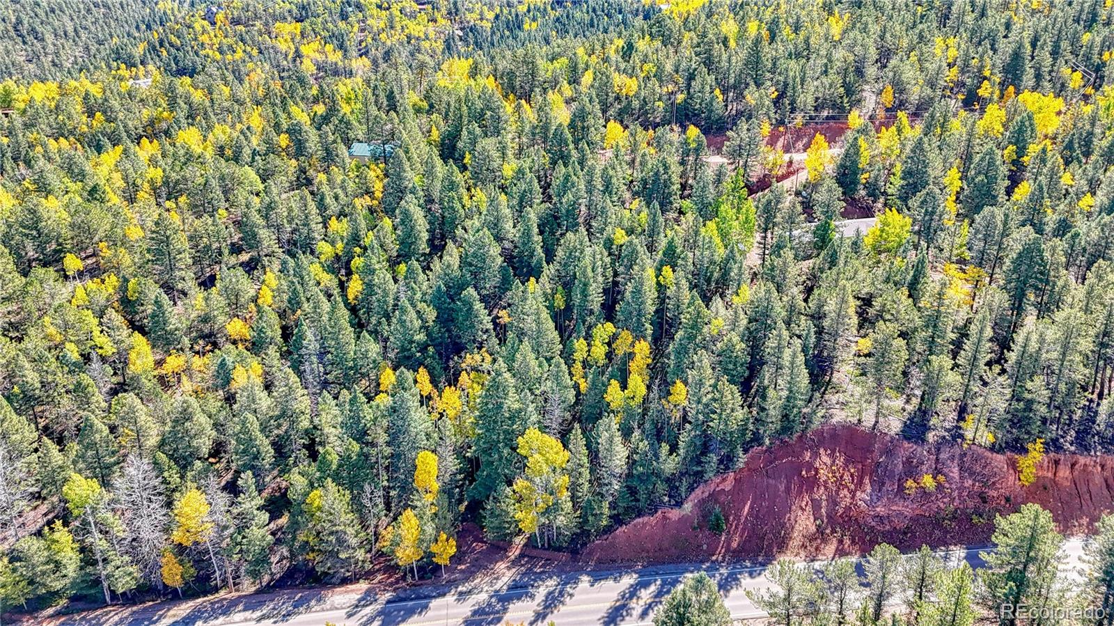 959 Calcite Drive Divide CO 80814