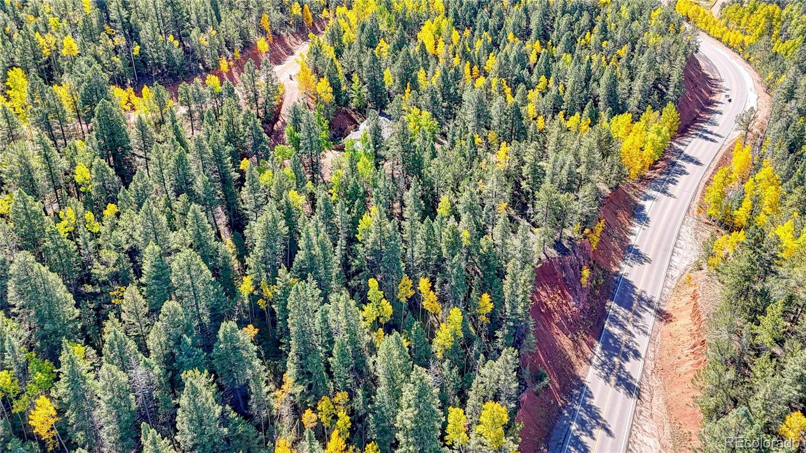 959 Calcite Drive Divide CO 80814