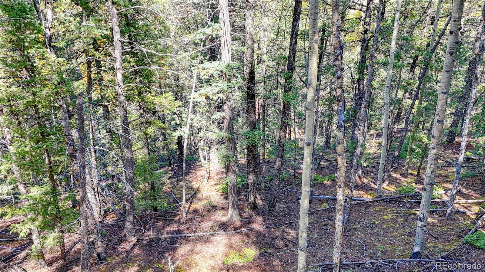 959 Calcite Drive Divide CO 80814