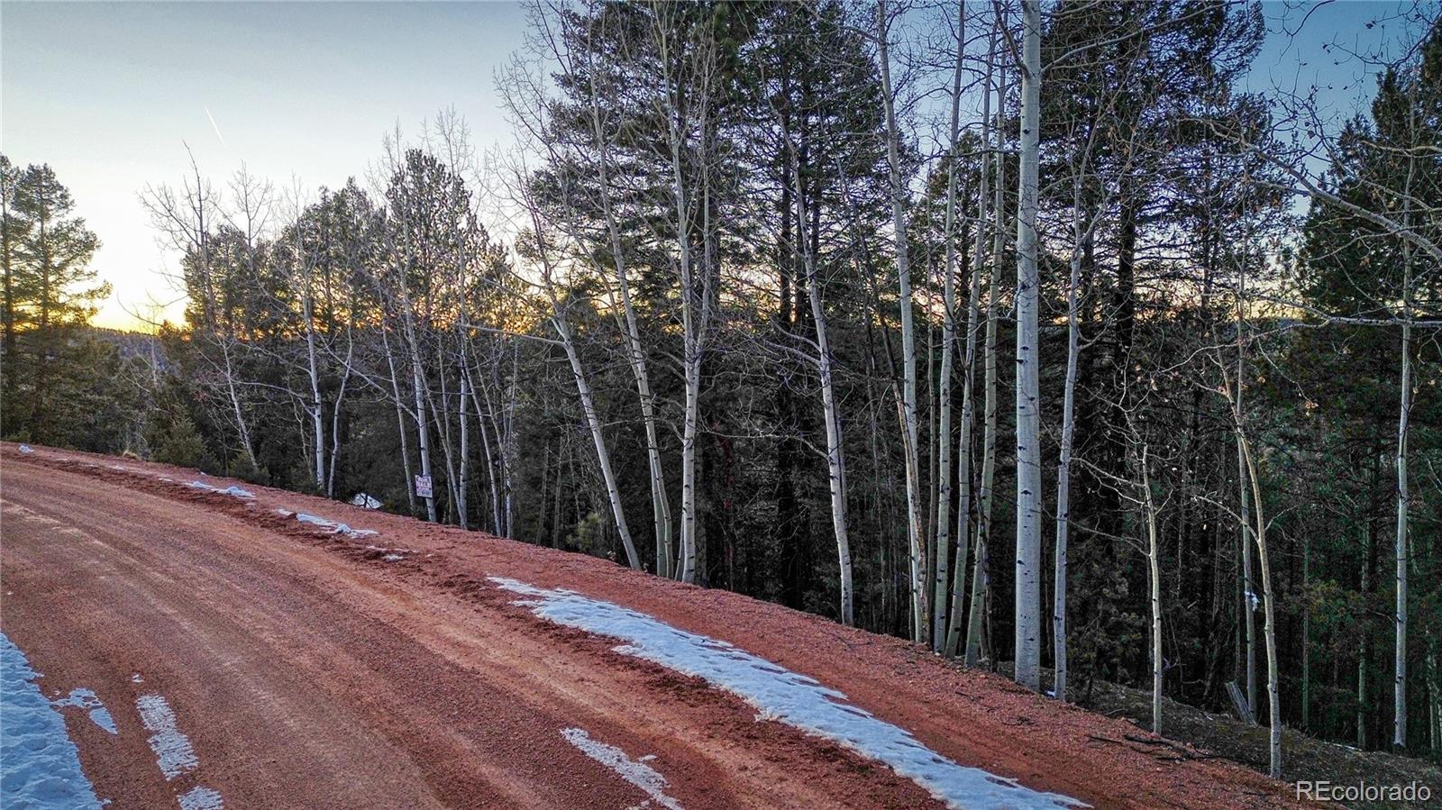 959 Calcite Drive Divide CO 80814