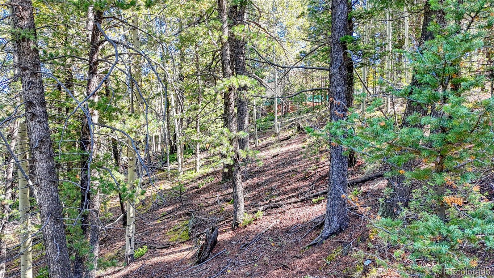 959 Calcite Drive Divide CO 80814