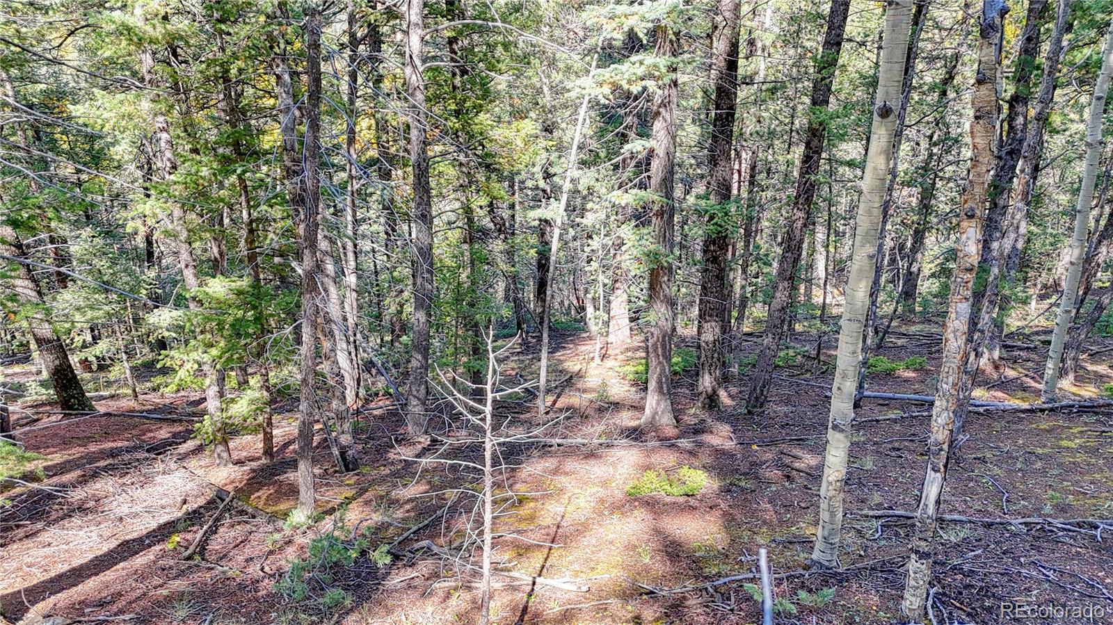 959 Calcite Drive Divide CO 80814