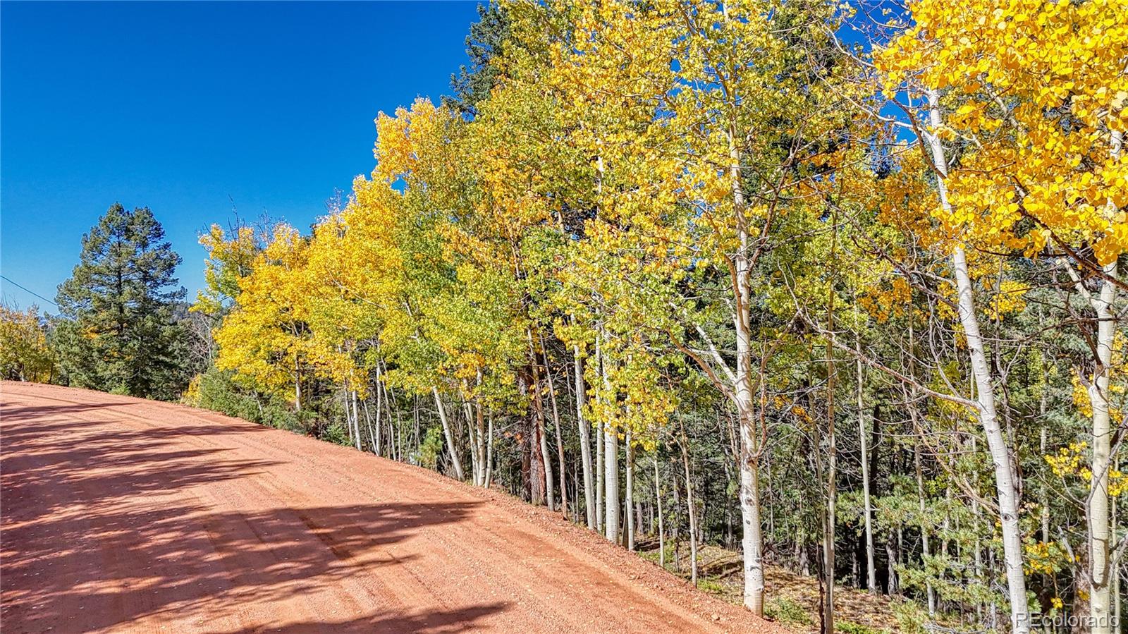 959 Calcite Drive Divide CO 80814