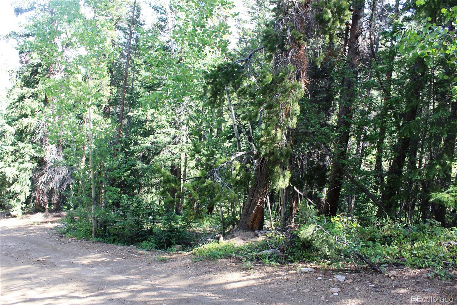 00 Sunflower Road Black Hawk CO 80422