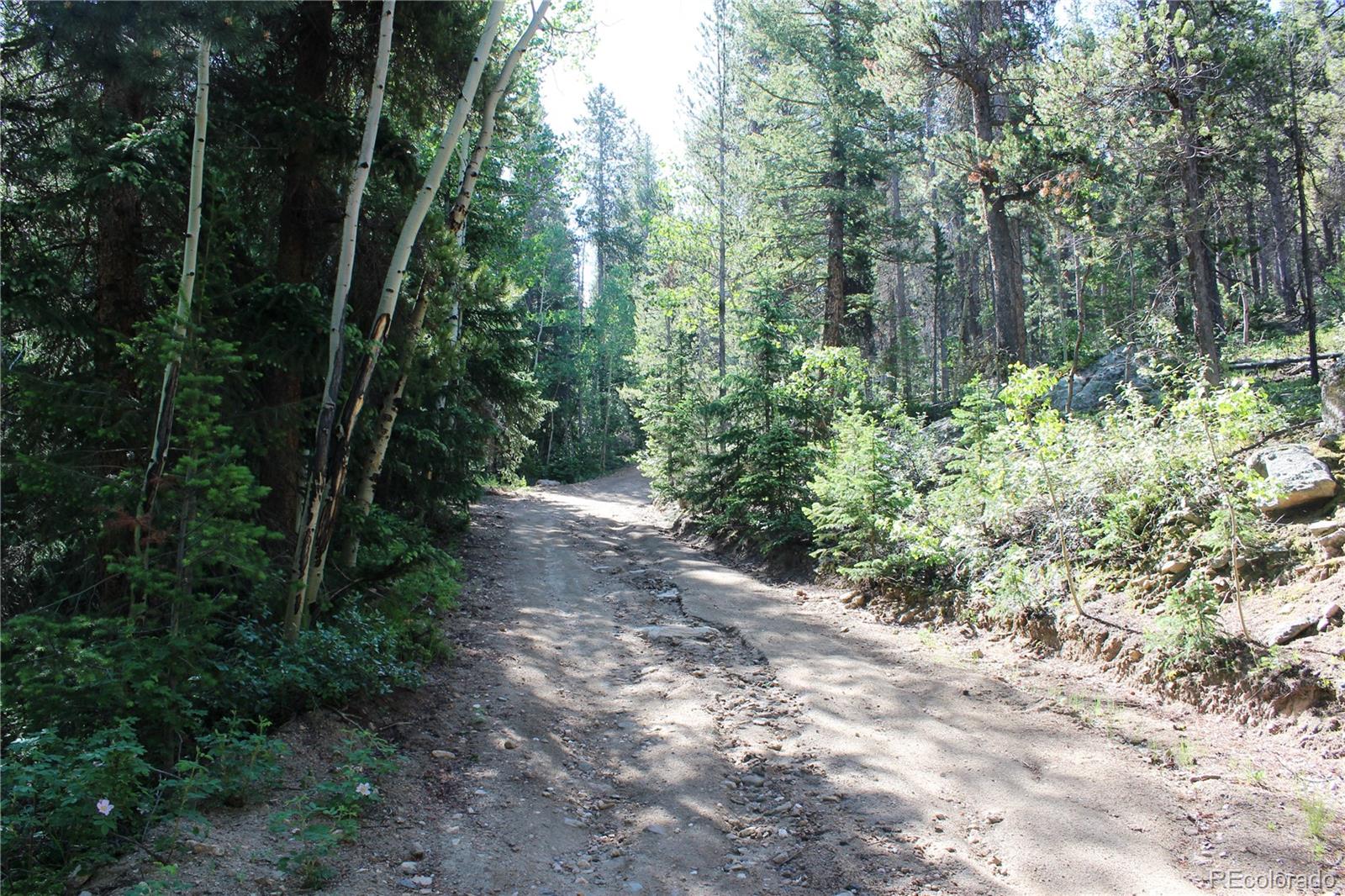 00 Sunflower Road Black Hawk CO 80422