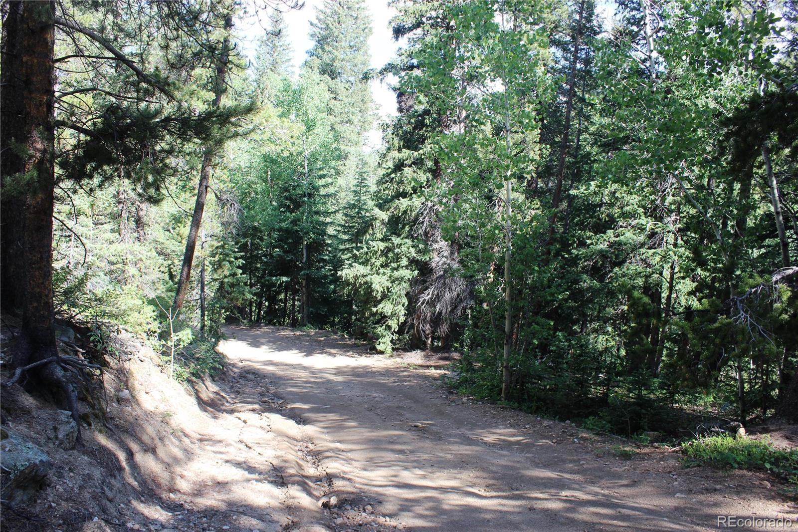 00 Sunflower Road Black Hawk CO 80422