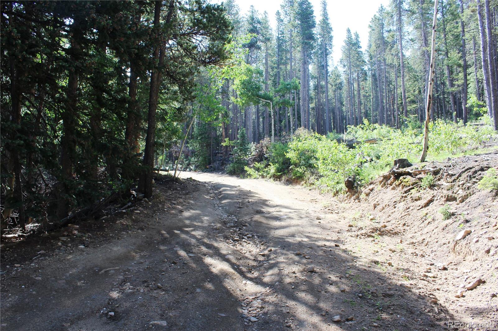 00 Sunflower Road Black Hawk CO 80422
