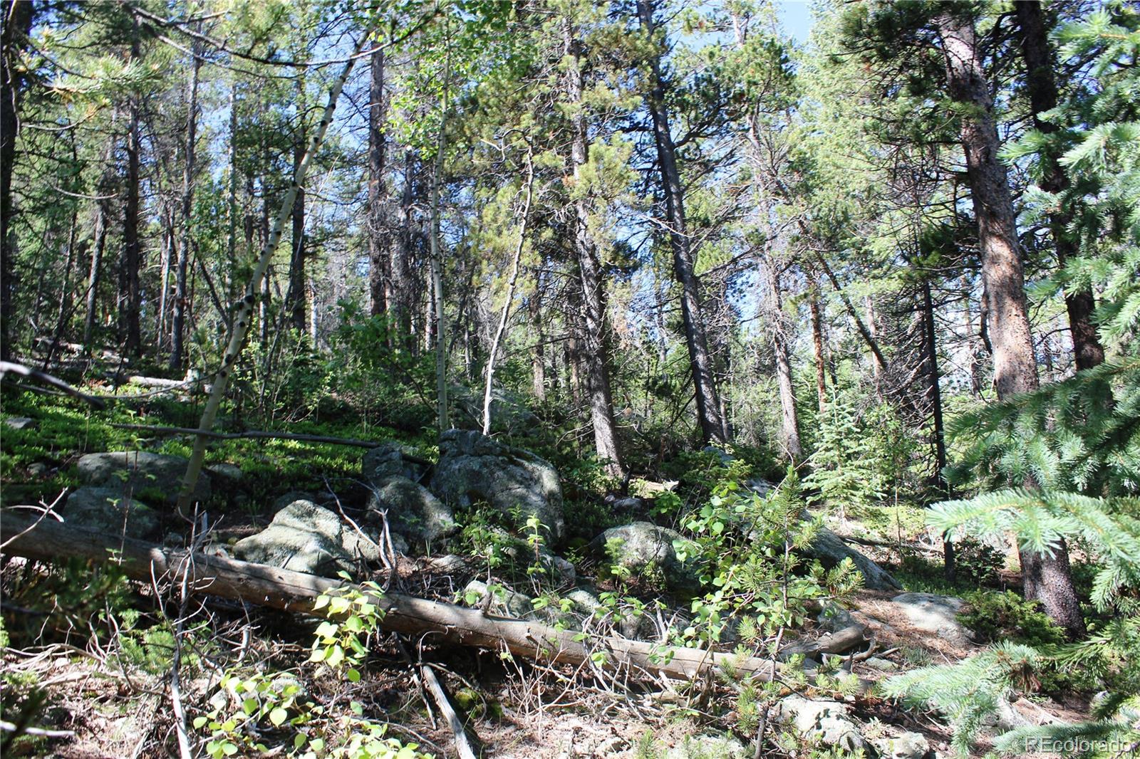 00 Sunflower Road Black Hawk CO 80422