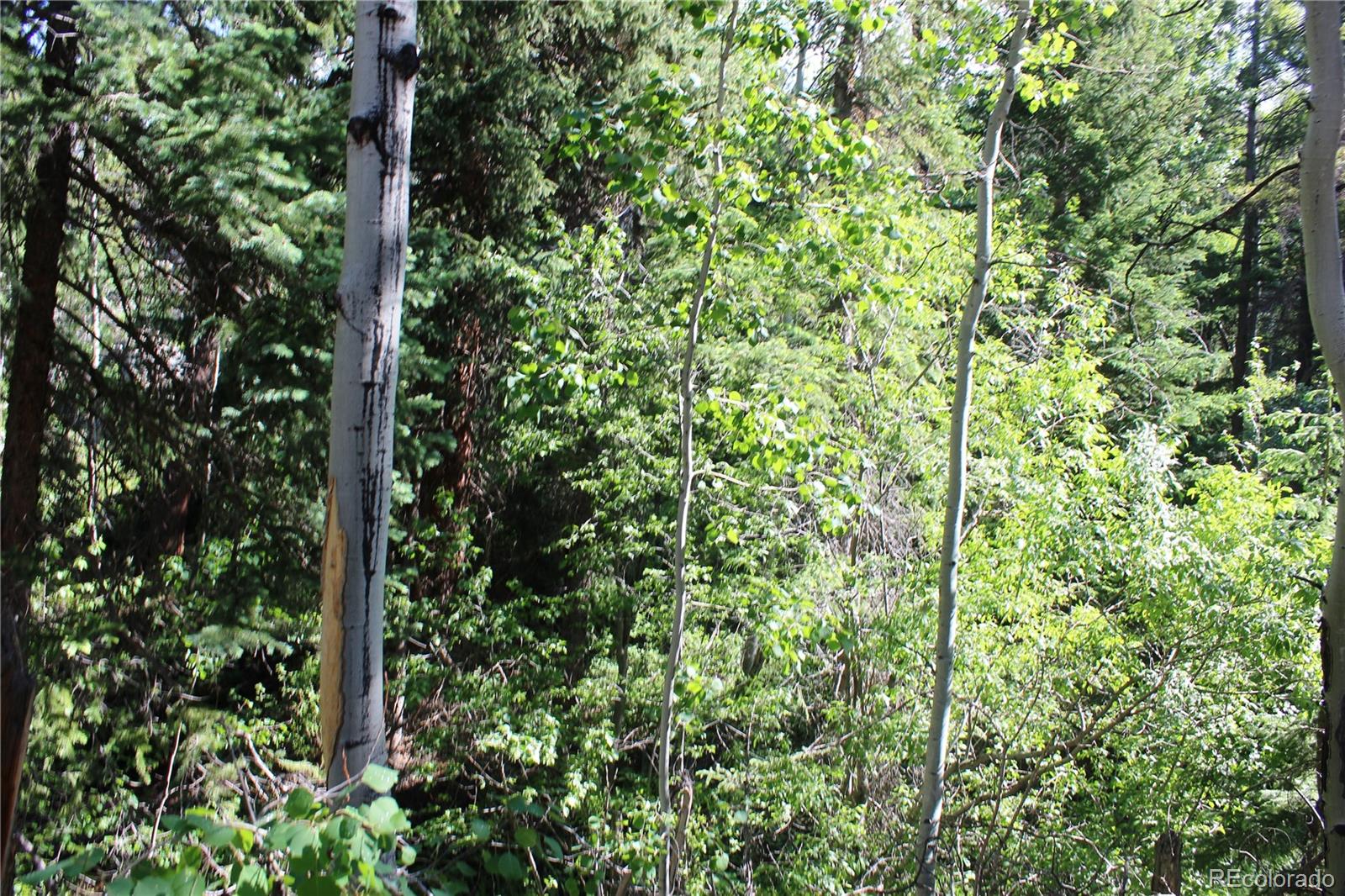 00 Sunflower Road Black Hawk CO 80422