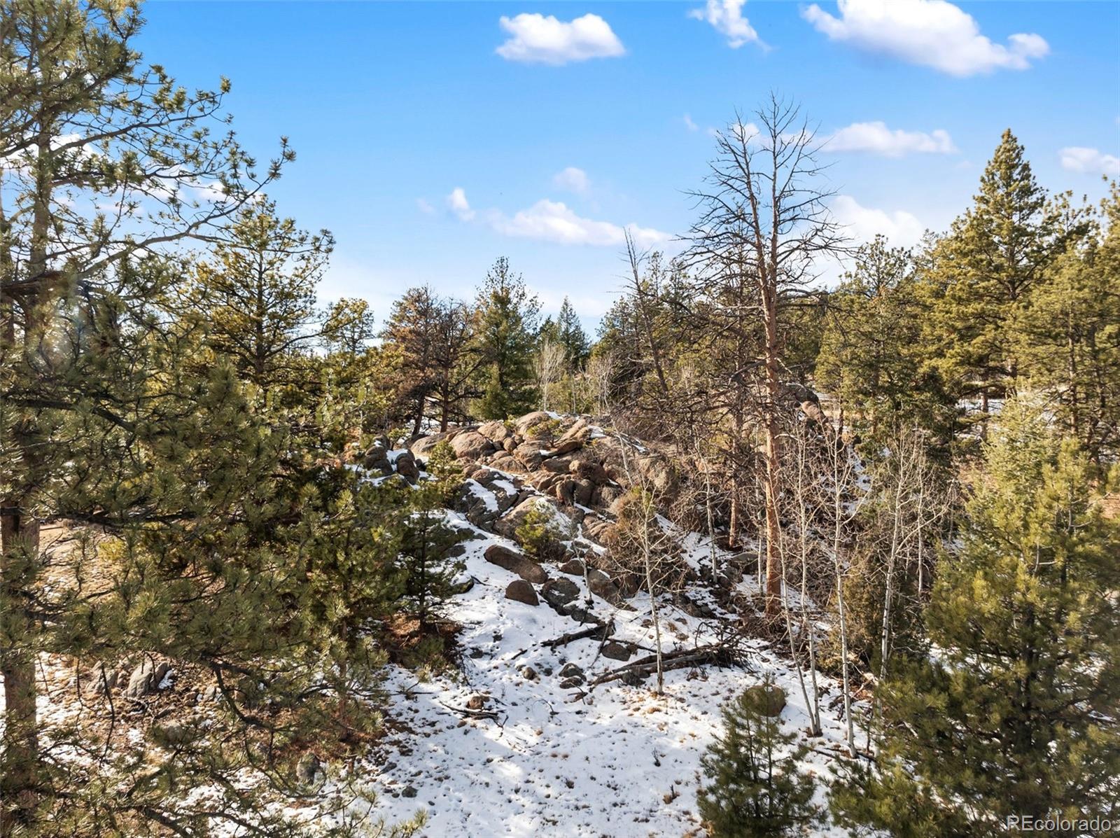 527 Plateau Drive Guffey CO 80820