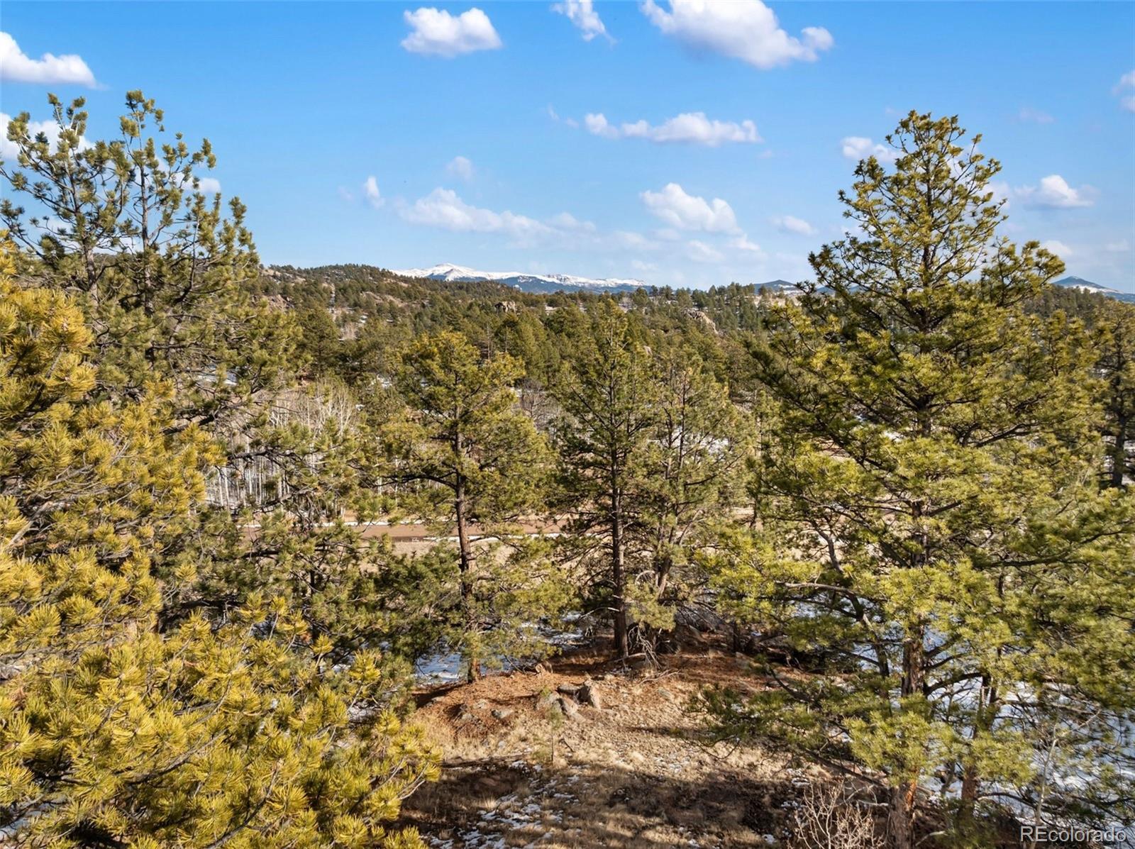 527 Plateau Drive Guffey CO 80820