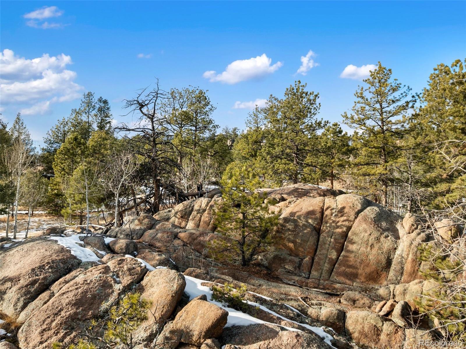 527 Plateau Drive Guffey CO 80820