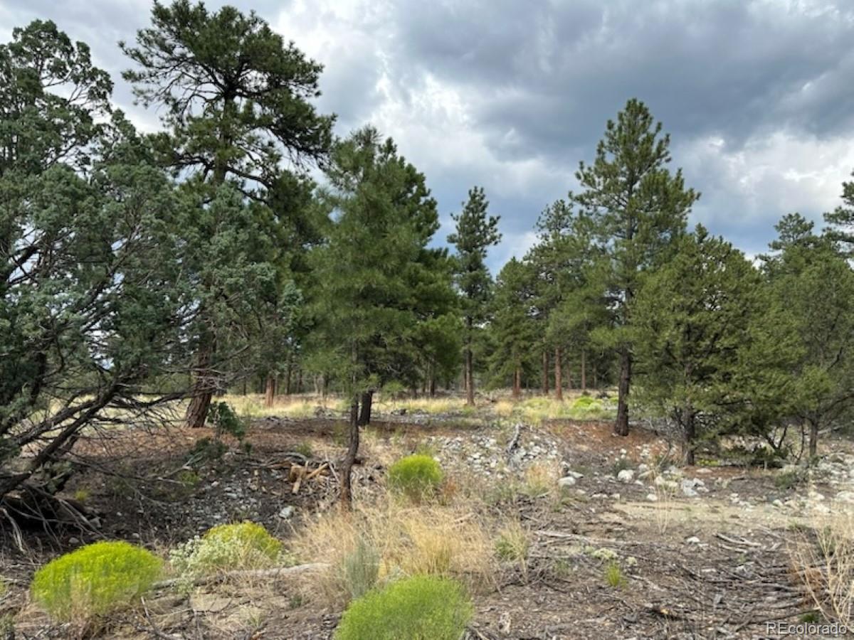 22 Cub Creek Road Mosca CO 81146