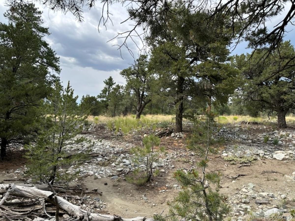 22 Cub Creek Road Mosca CO 81146