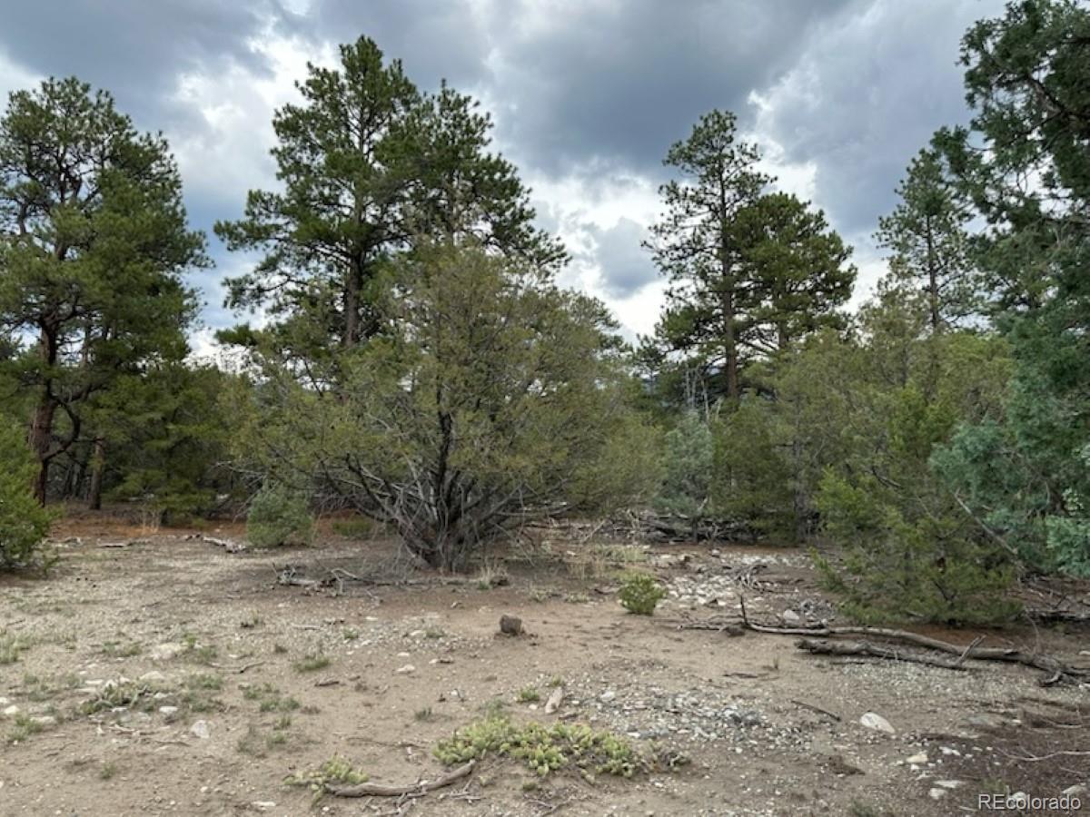 22 Cub Creek Road Mosca CO 81146