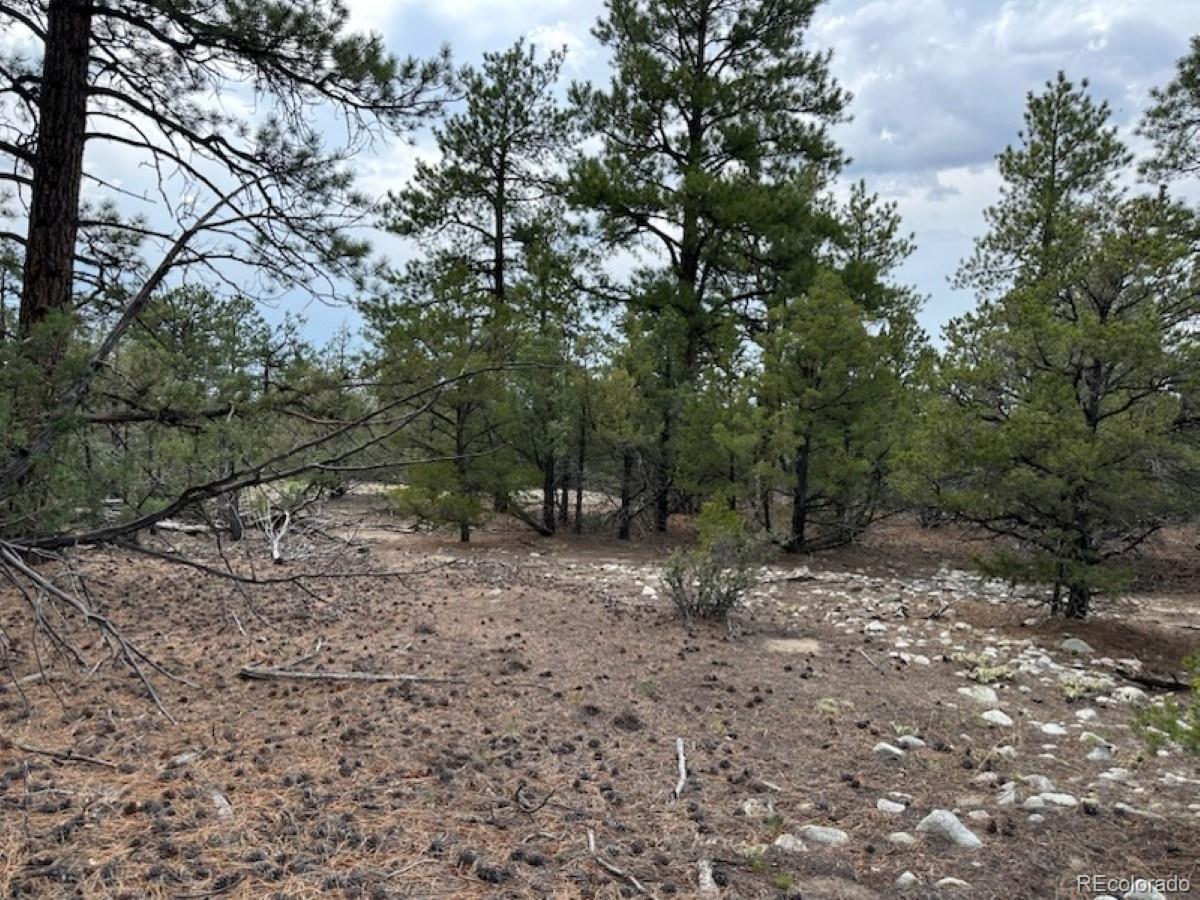 22 Cub Creek Road Mosca CO 81146
