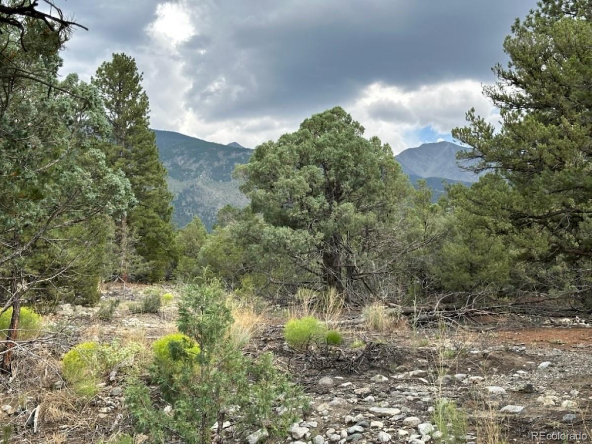 22 Cub Creek Road Mosca CO 81146