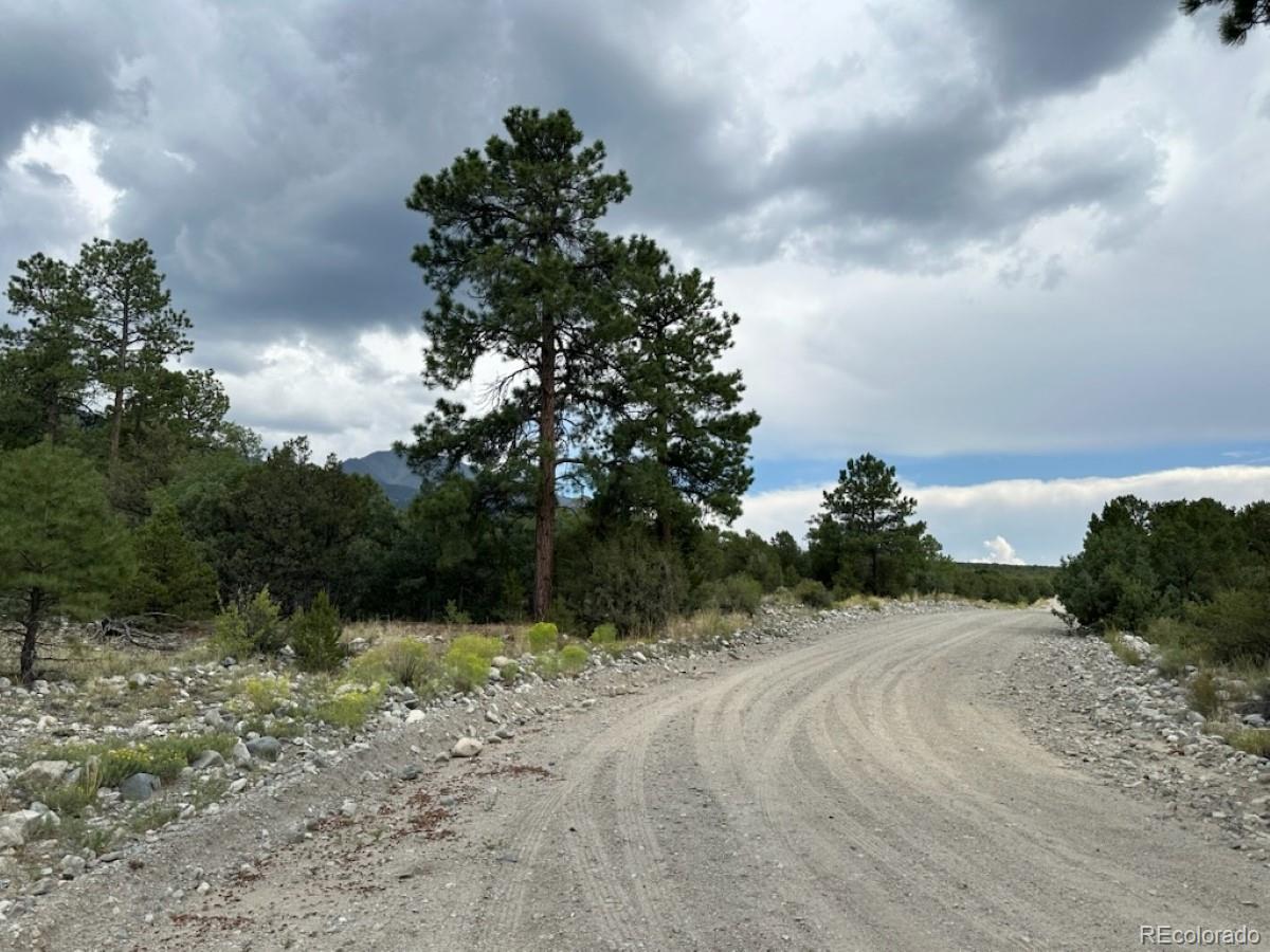 22 Cub Creek Road Mosca CO 81146