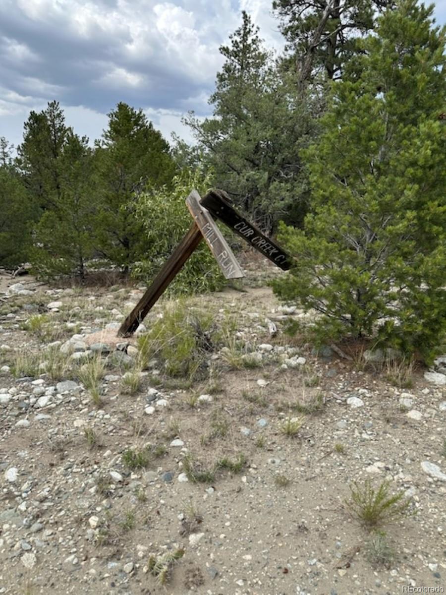 22 Cub Creek Road Mosca CO 81146