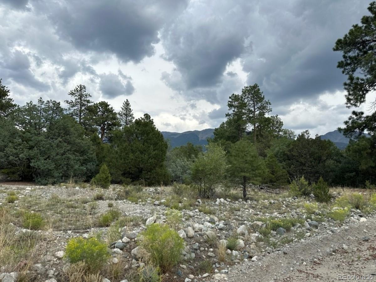 22 Cub Creek Road Mosca CO 81146