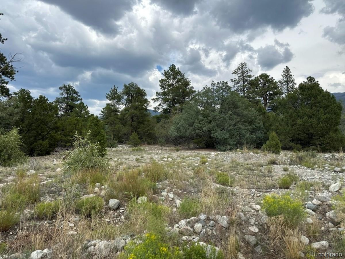 22 Cub Creek Road Mosca CO 81146