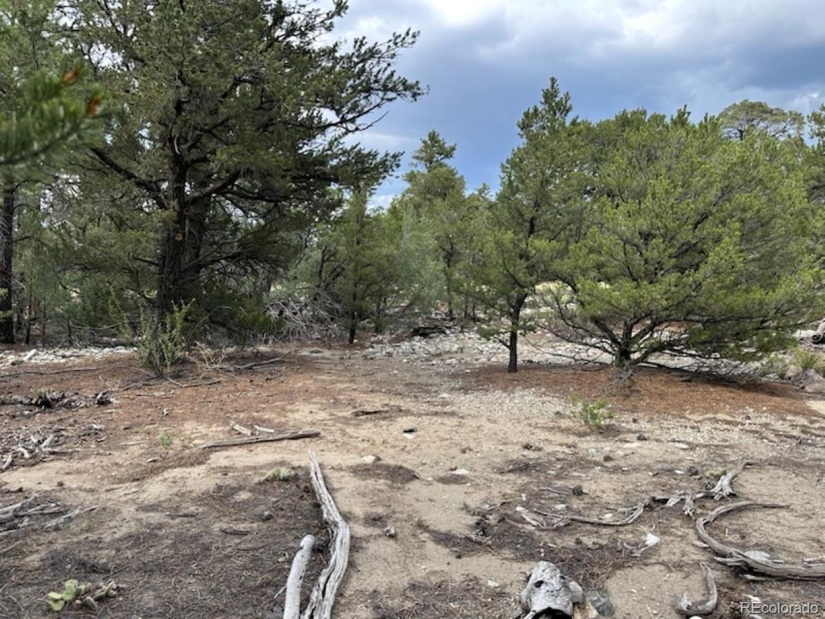 22 Cub Creek Road Mosca CO 81146