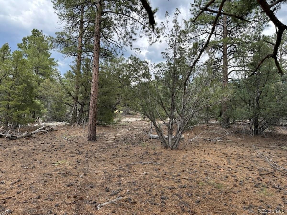 22 Cub Creek Road Mosca CO 81146