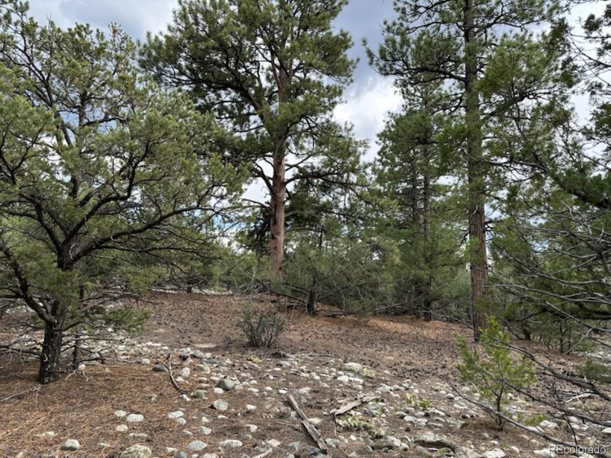 22 Cub Creek Road Mosca CO 81146