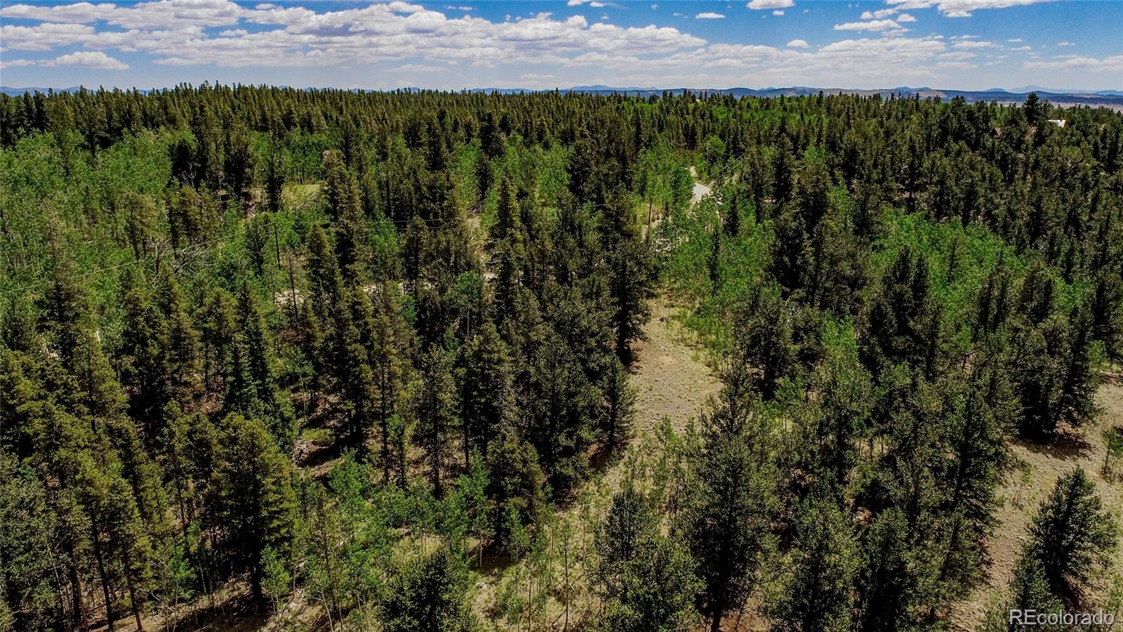 308 Quarry Road Fairplay CO 80440
