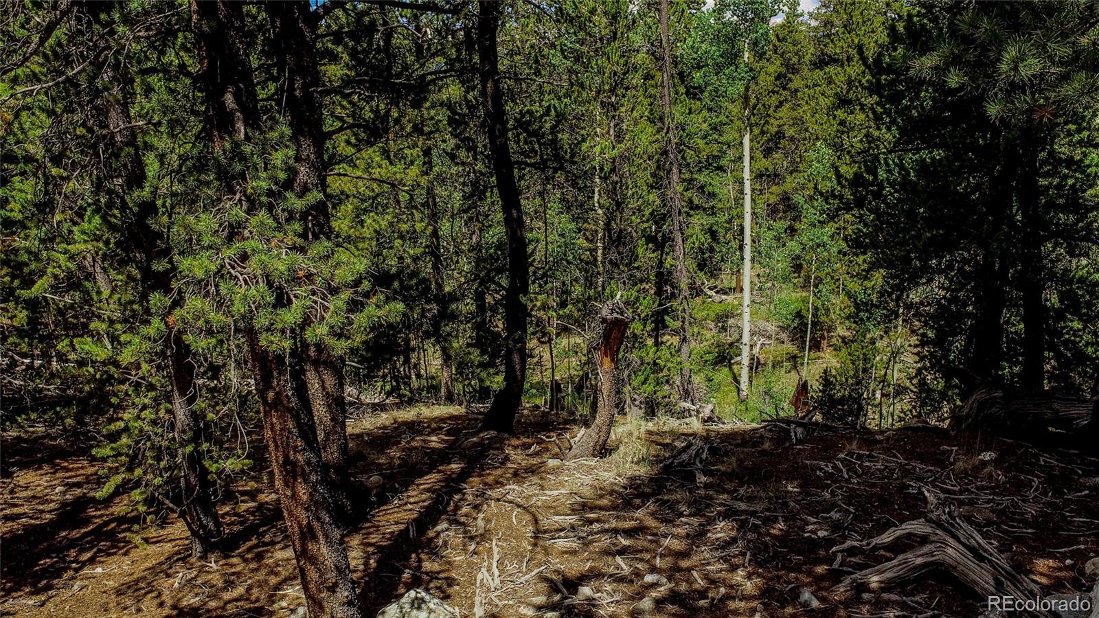 308 Quarry Road Fairplay CO 80440