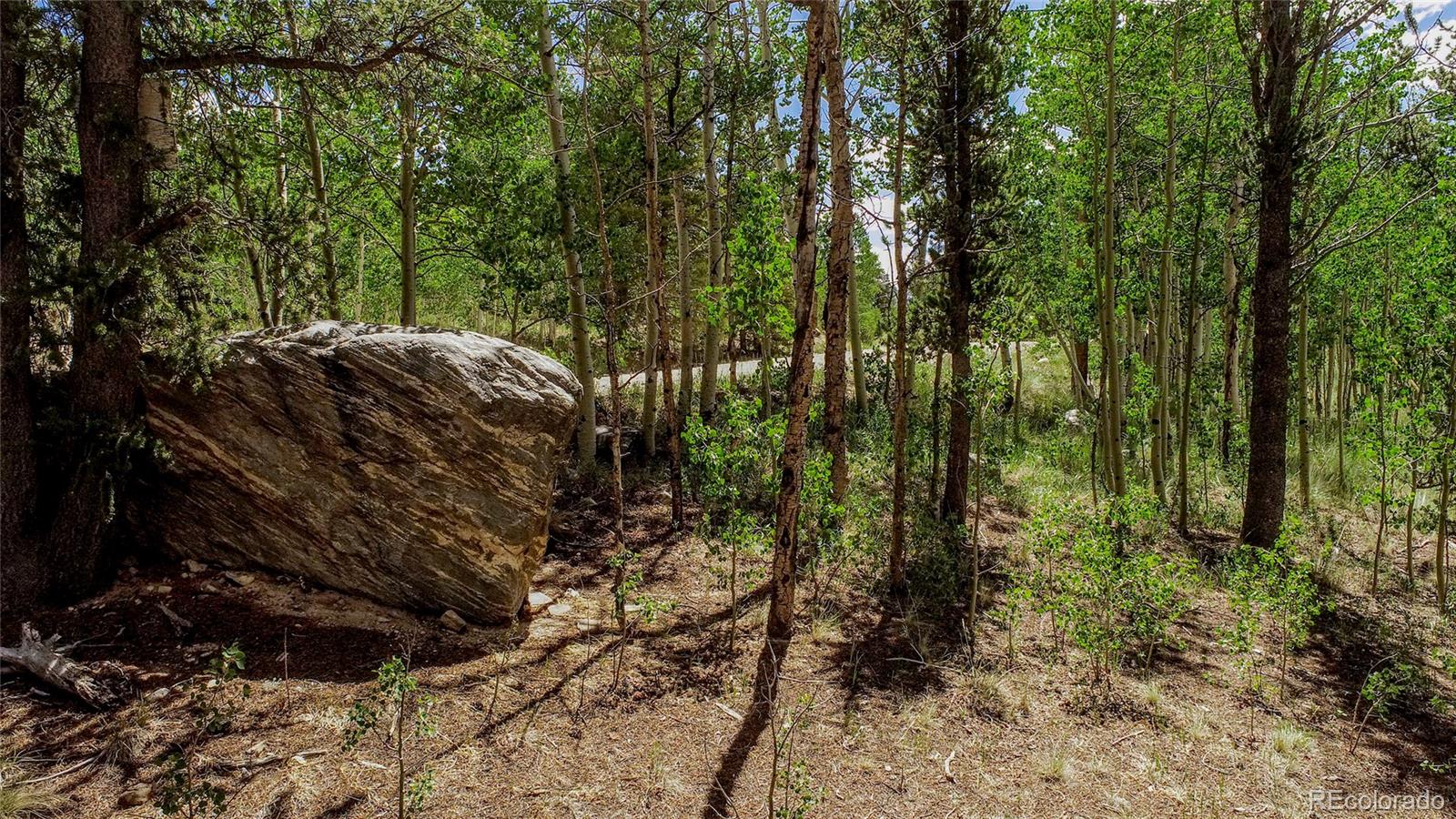 308 Quarry Road Fairplay CO 80440