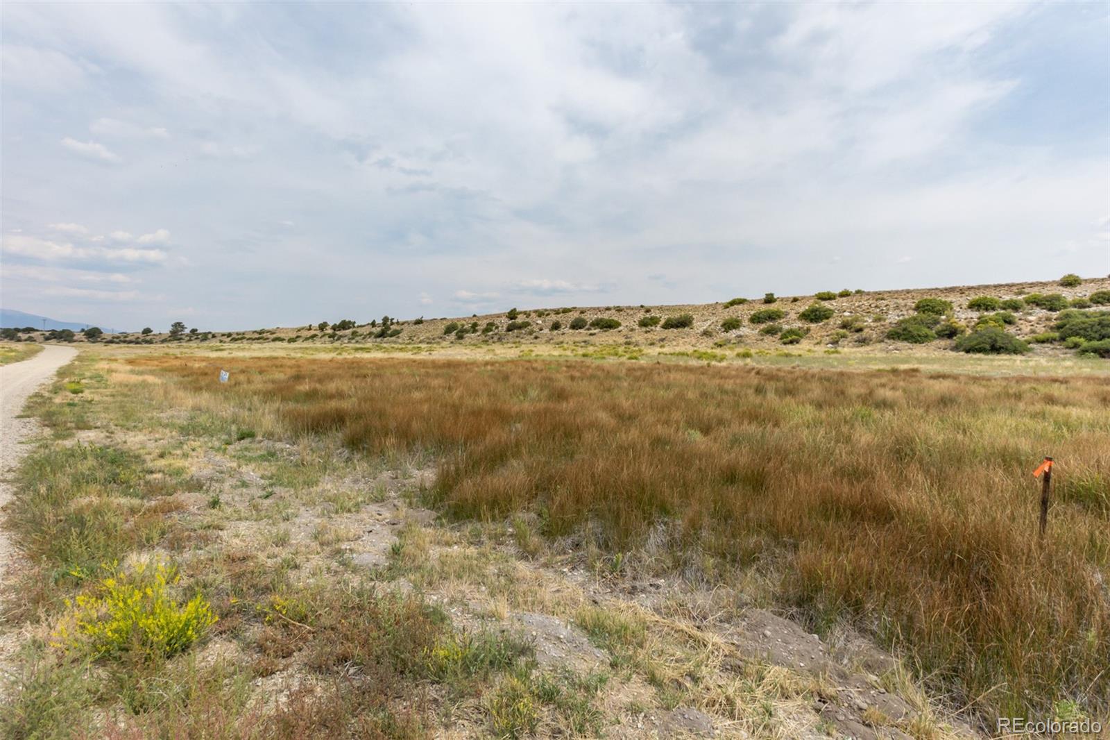 24260 River Rock Lane Buena Vista CO 81211