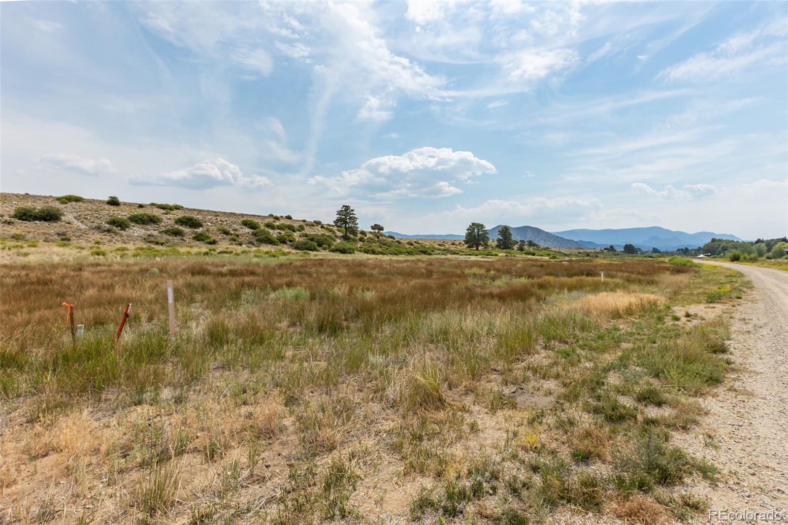 24260 River Rock Lane Buena Vista CO 81211