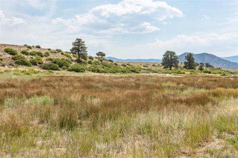 24260 River Rock Lane Buena Vista CO 81211