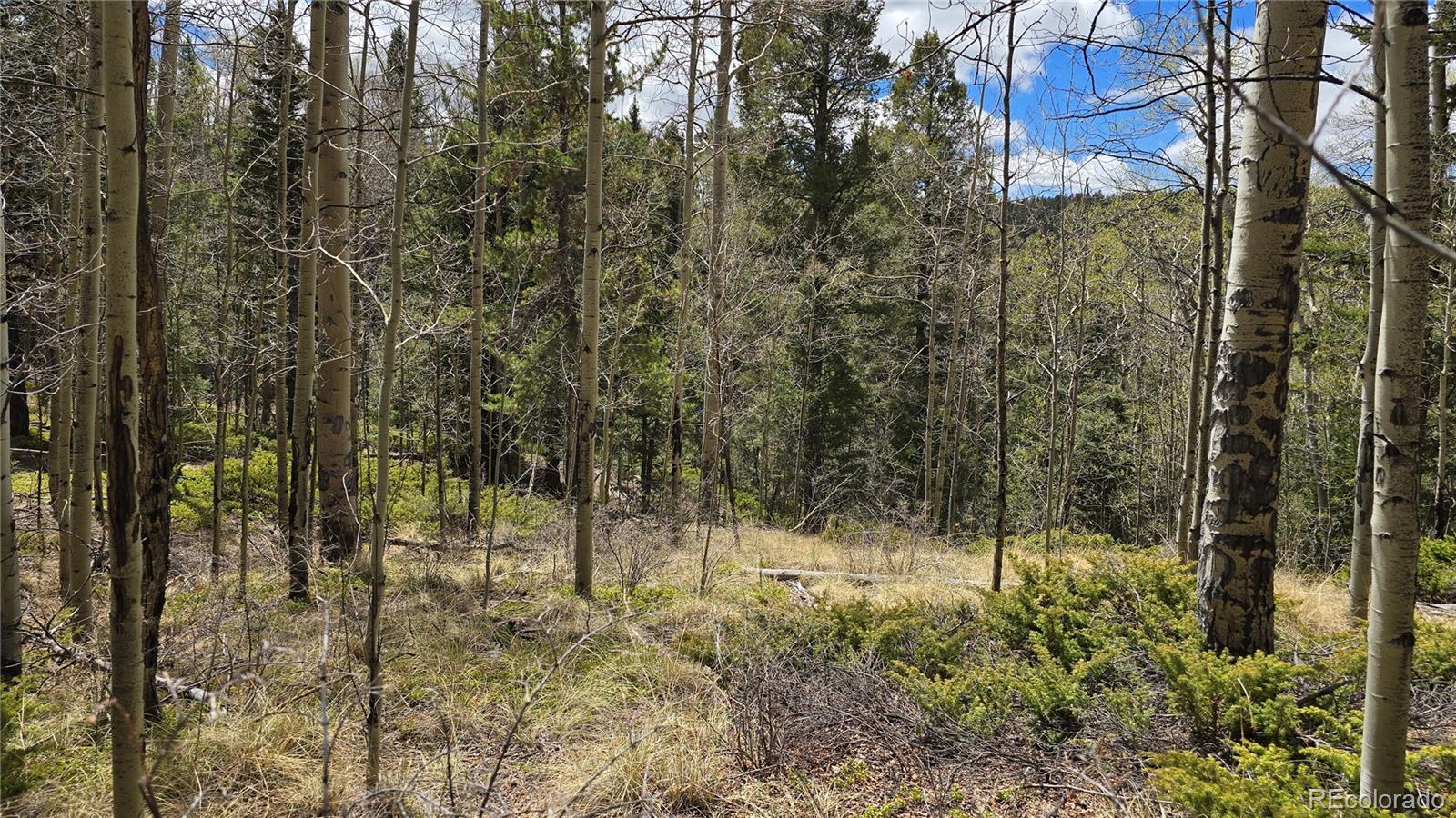Lot 5853 Slegers Road Fort Garland CO 81133